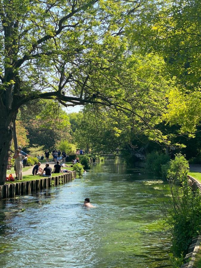 Jesticos, Perfectly Wonderful Central , 1 Parking Included Canterbury Exteriör bild